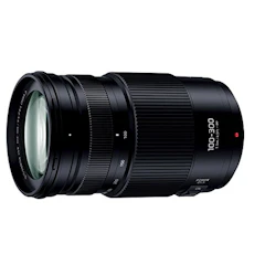 Panasonic LUMIX G VARIO 100-300mm/F4.0-5.6 II /POWER O.I.S. 1枚目