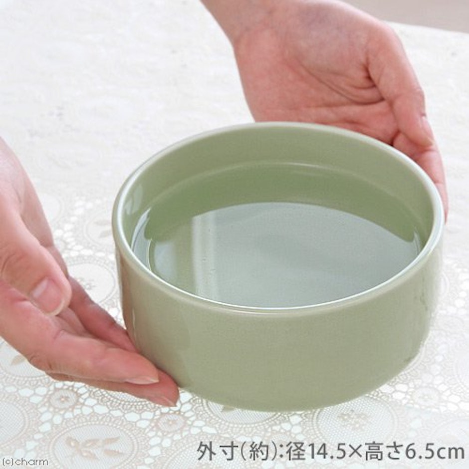 キャットシッターの私が愛用しているおすすめ猫グッズ15選 Favlist キャットシッターの私が愛用しているおすすめ猫グッズ15選 Favlist