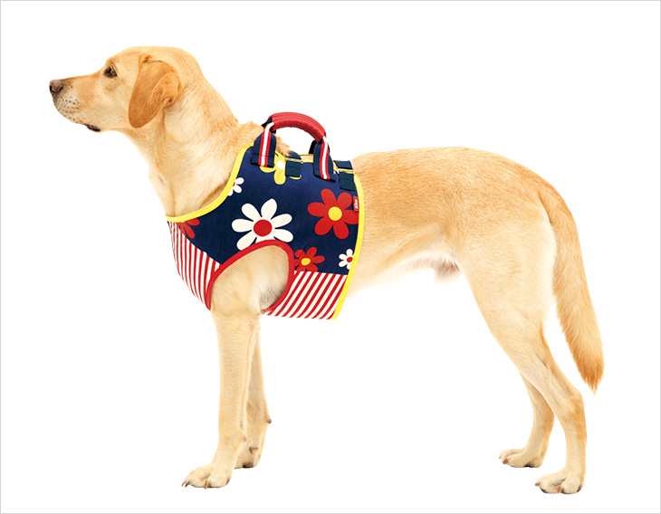 LaLaWalk 介助ベスト ハッピーフラワー 1枚目