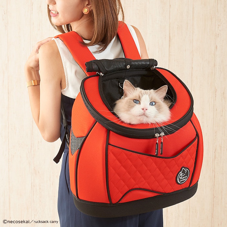 おしゃれで便利 猫用キャリーバッグのおすすめ人気ランキング15選 Mybest