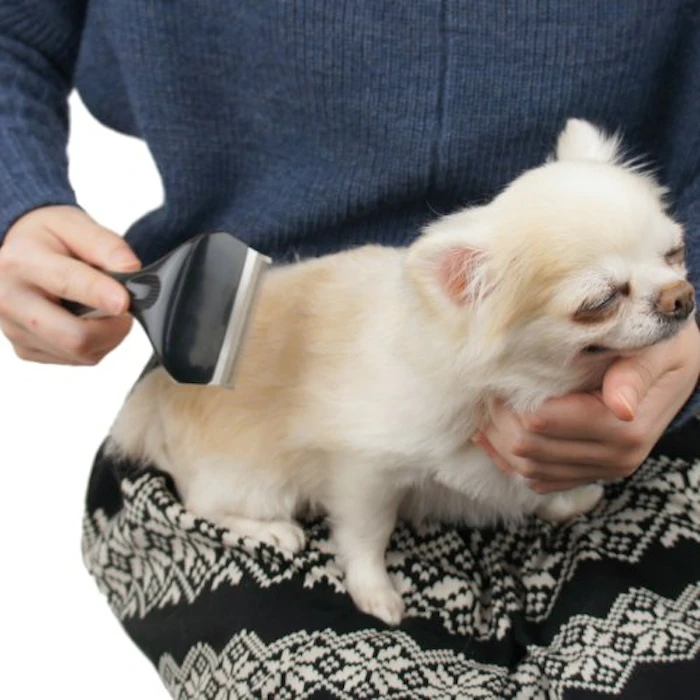 iDog&iCat グルーミー アンダーコートケアブラシ 1枚目
