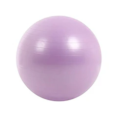 リオレス バランスボール フットポンプ付 1枚目