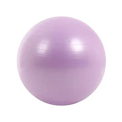 リオレス バランスボール フットポンプ付 1枚目