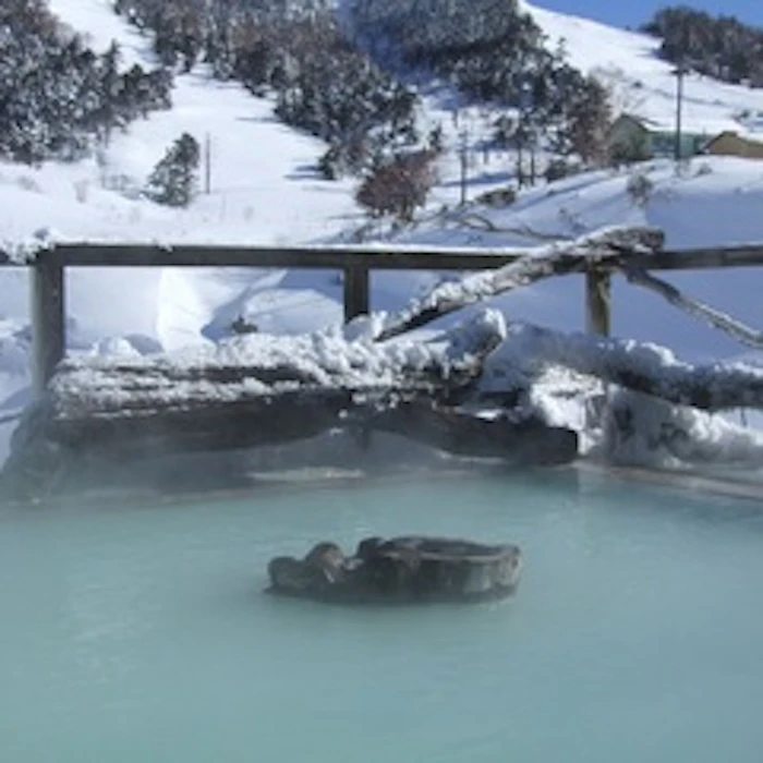 群馬県 万座温泉 日進舘 3枚目