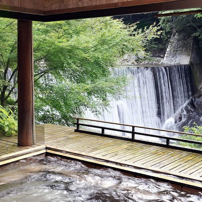 群馬県 かやぶきの郷 薬師温泉旅籠 3枚目