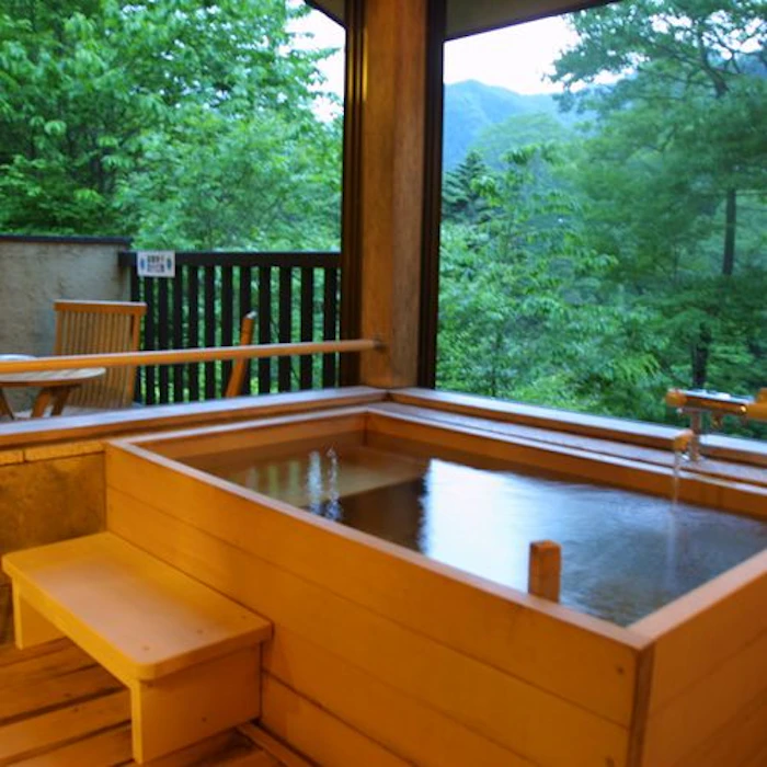 群馬県 かやぶきの郷 薬師温泉旅籠 4枚目