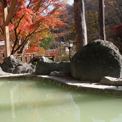 栃木県 塩原元湯温泉 秘湯の宿 元泉館 1枚目