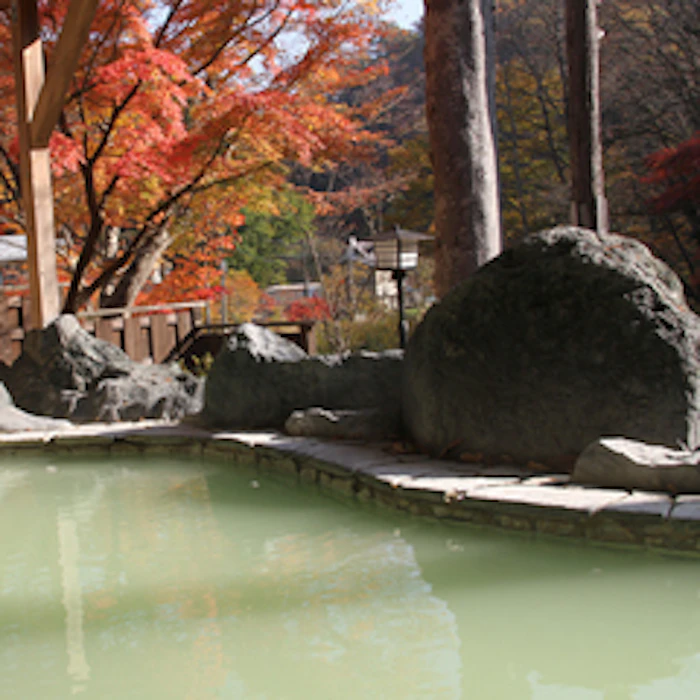 栃木県 塩原元湯温泉 秘湯の宿 元泉館 1枚目