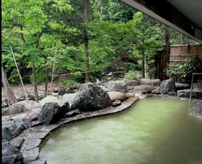 栃木県 塩原元湯温泉 秘湯の宿 元泉館 2枚目