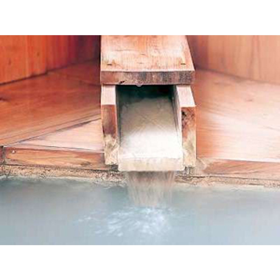 栃木県 塩原元湯温泉 秘湯の宿 元泉館 3枚目