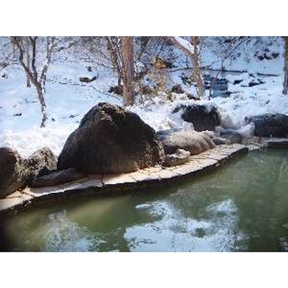 栃木県 塩原元湯温泉 秘湯の宿 元泉館 4枚目