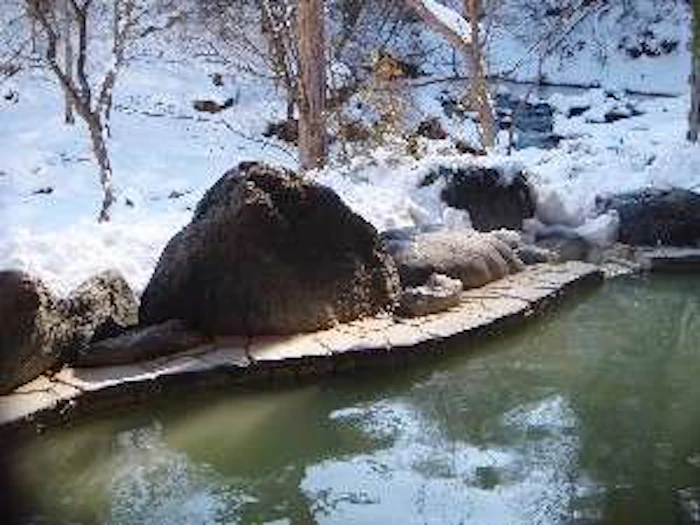 栃木県 塩原元湯温泉 秘湯の宿 元泉館 4枚目