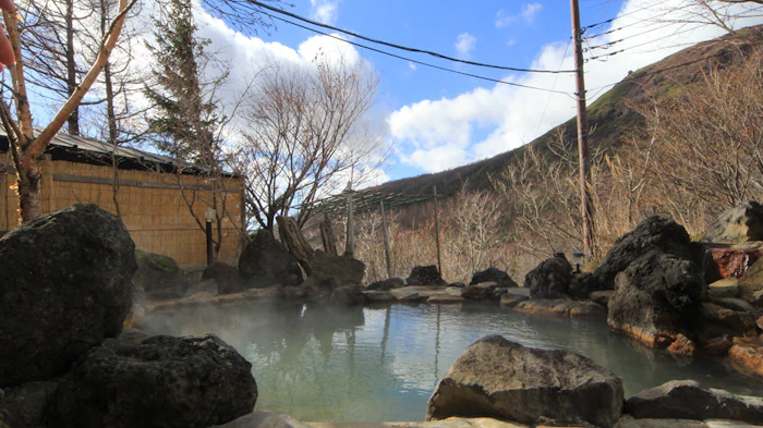 栃木県 那須温泉 旅館ニューおおたか 3枚目