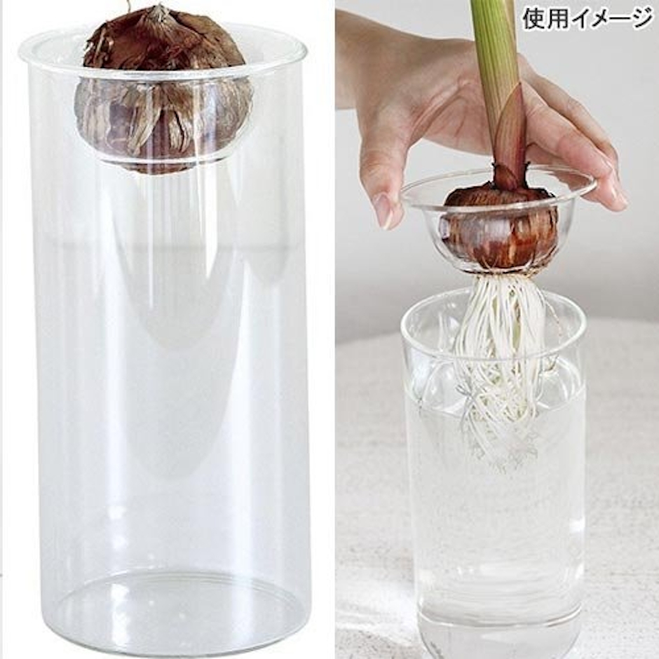 スパイス 球根用 バルブベース ショート 1枚目