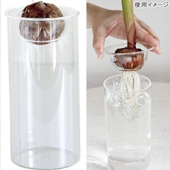 スパイス 球根用 バルブベース ショート 1枚目