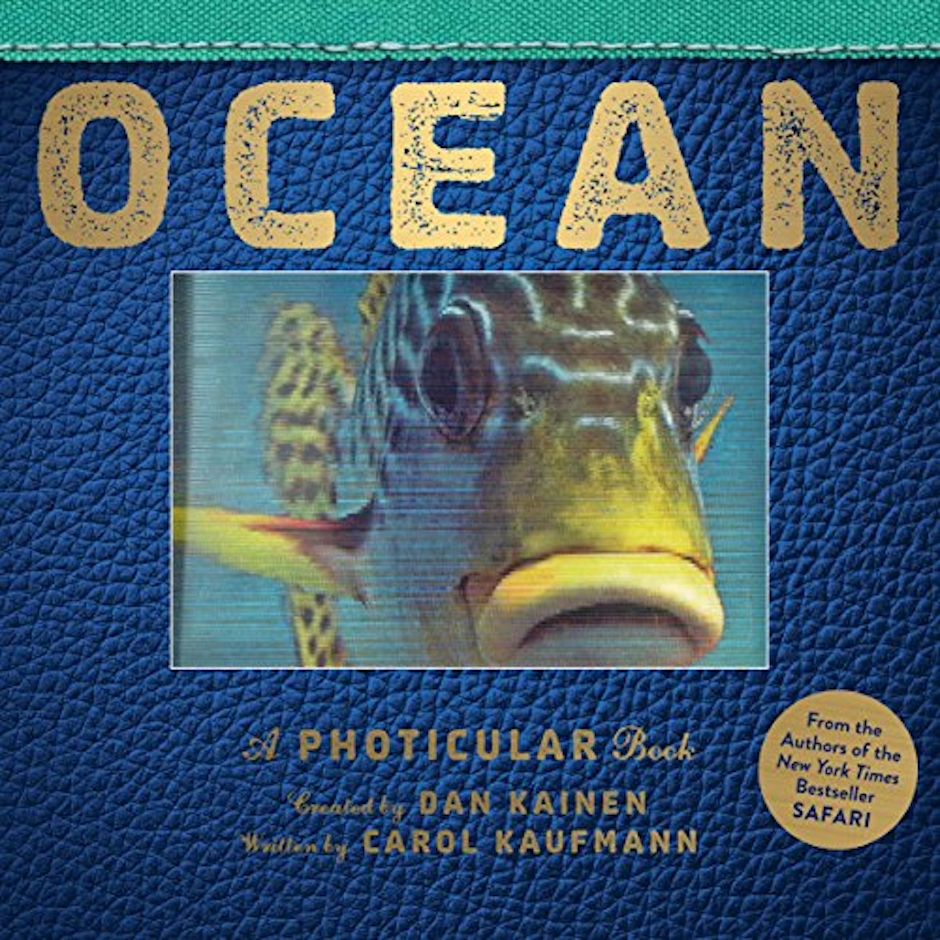 WORKMAN PUBLISHING CO Dan Kainen Ocean: A Photicular Book 1枚目