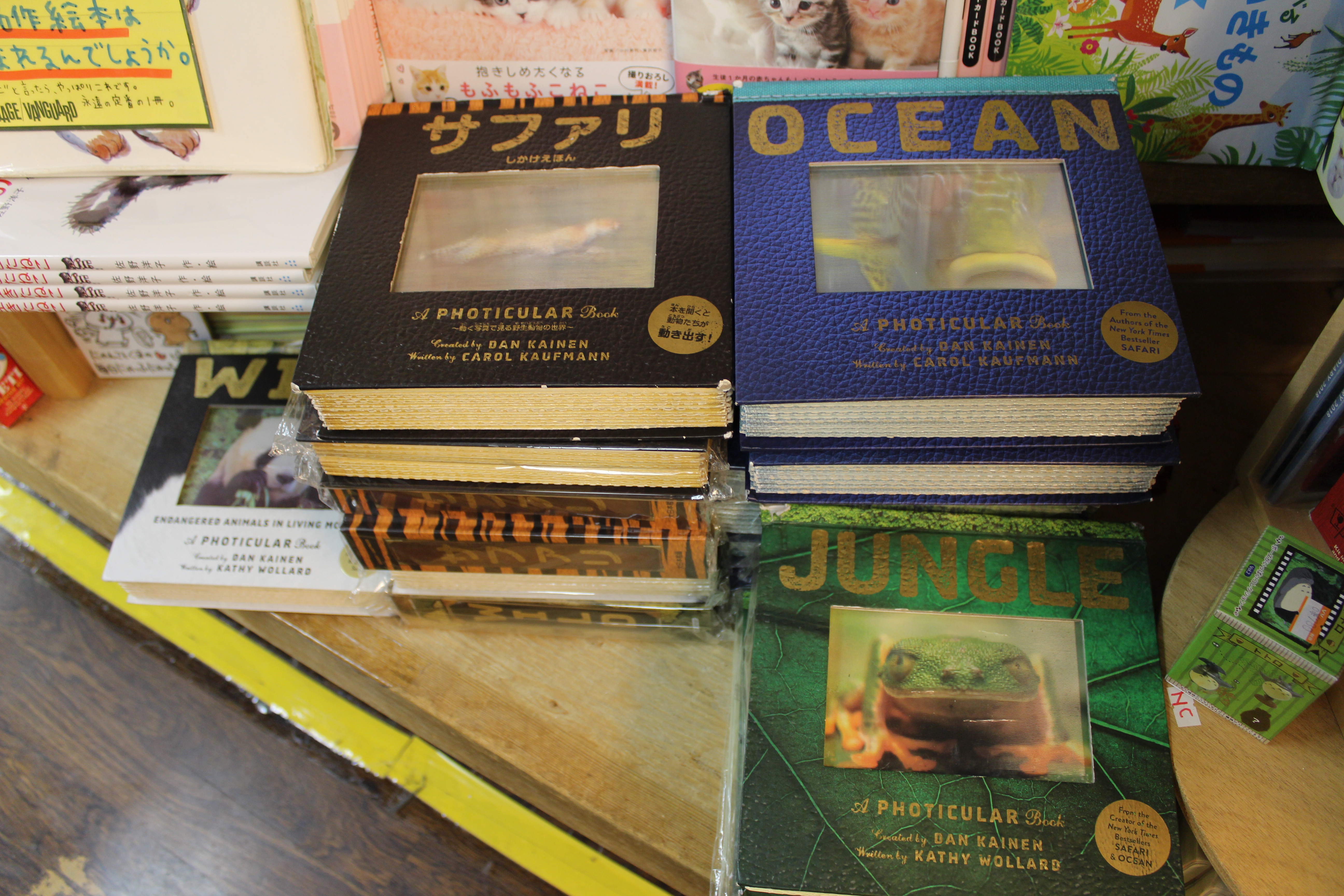 WORKMAN PUBLISHING CO  Dan Kainen Ocean: A Photicular Book 2枚目