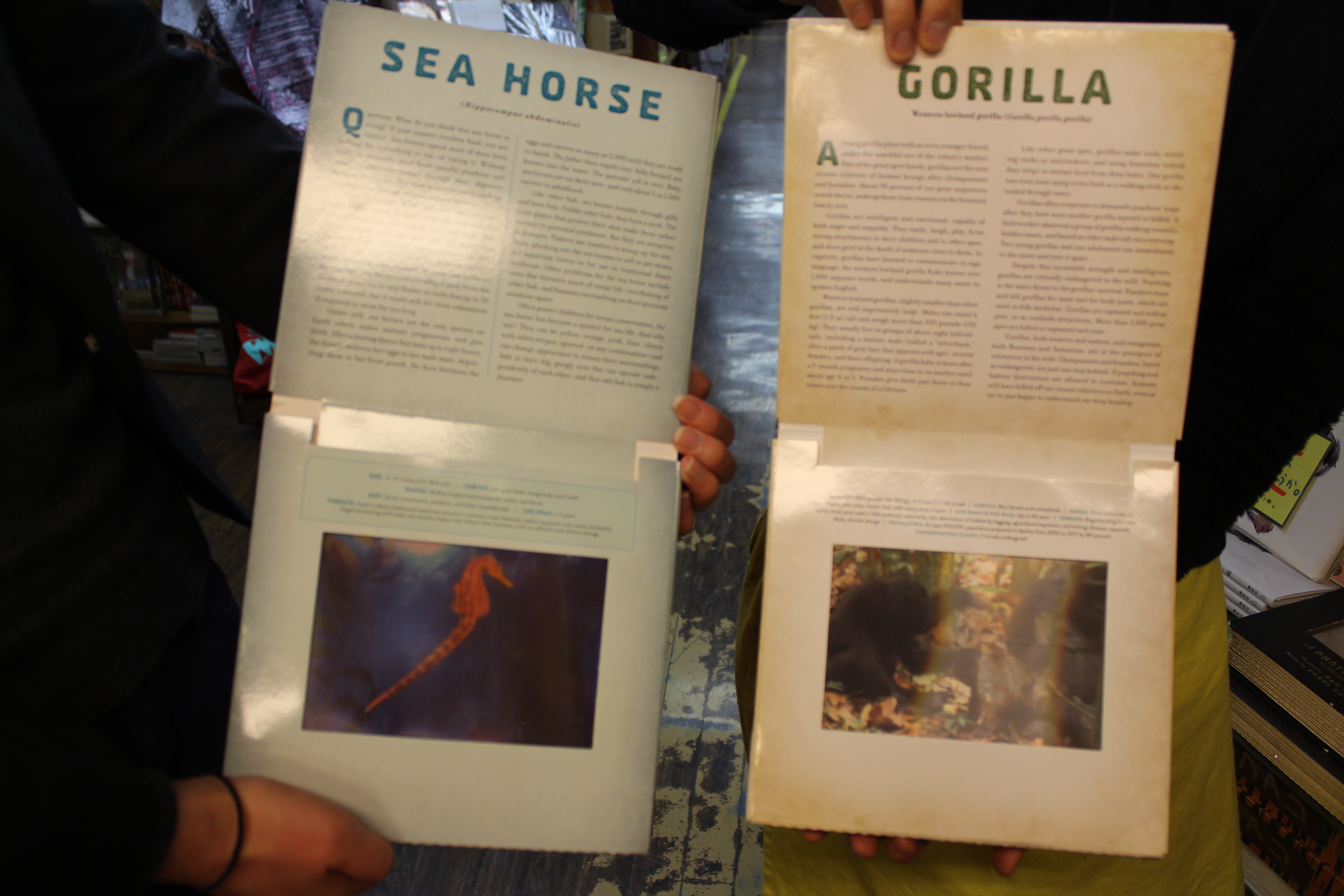WORKMAN PUBLISHING CO  Dan Kainen Ocean: A Photicular Book 4枚目