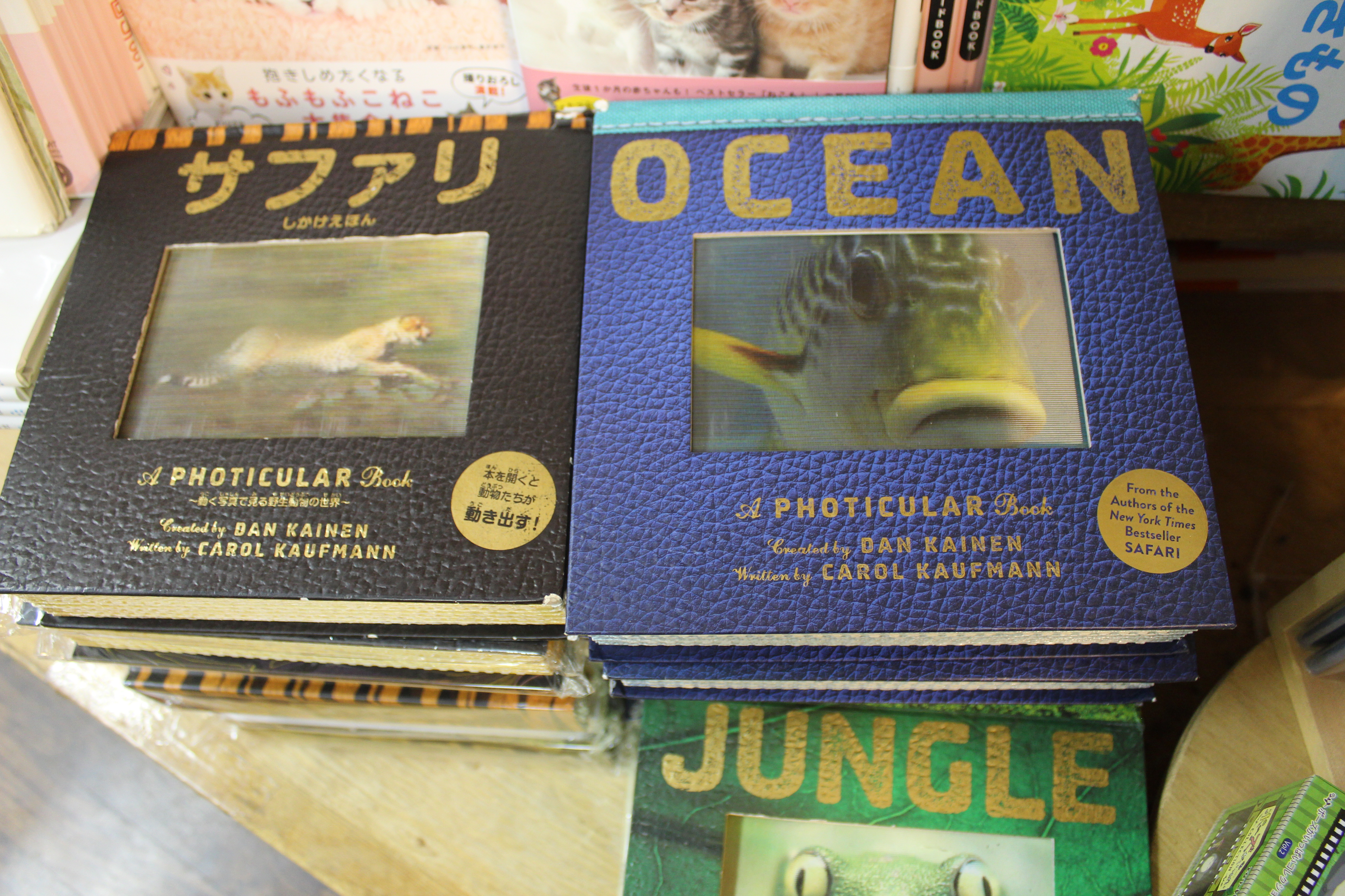 WORKMAN PUBLISHING CO  Dan Kainen Ocean: A Photicular Book 5枚目