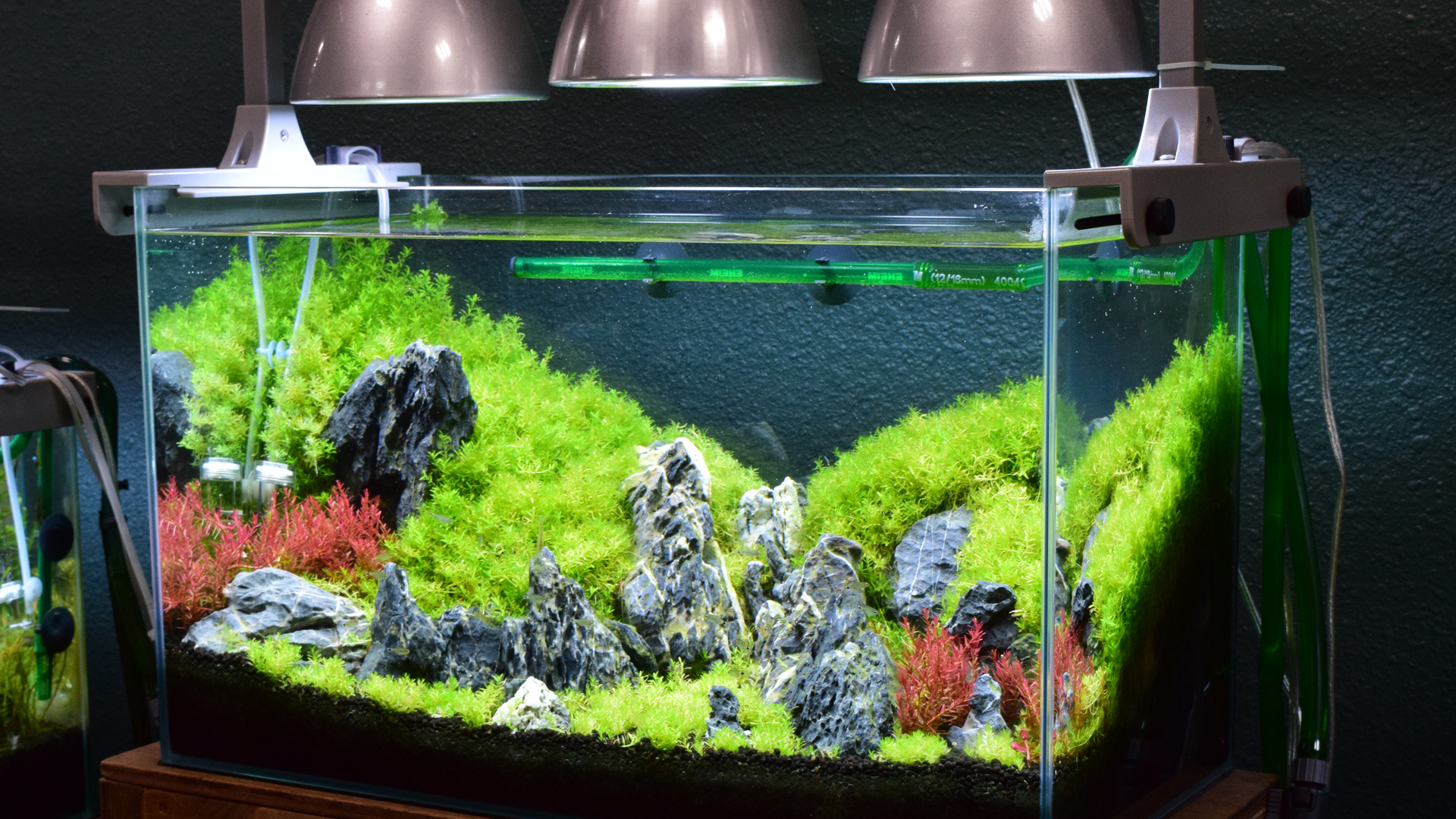 海外並行輸入正規品 テトラ 水槽セット オールグラスアクアリウム ５２０ ＧＡ−５２０Ｆ 初心者 お一人様１点限り 関東当日便 qdtek.vn