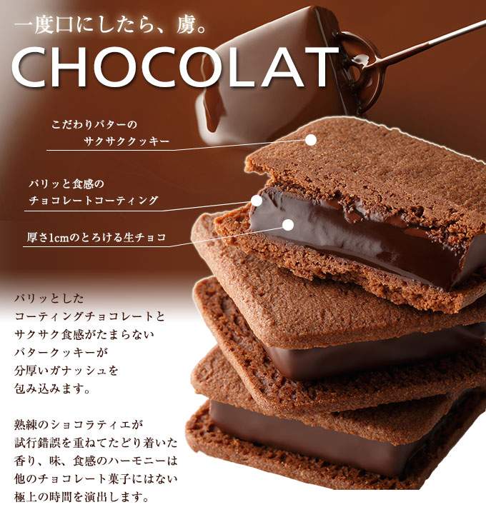 バニラビーンズ ショーコラ＆パリトロ 8個入り 3枚目