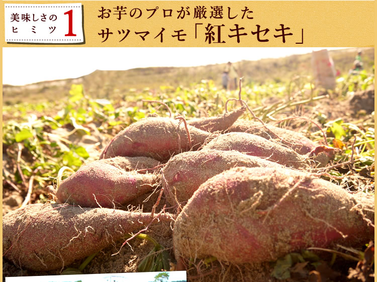 おいもや 二代目干し芋 200g 2枚目