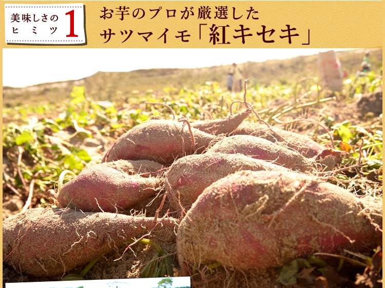 おいもや 二代目干し芋 200g 2枚目