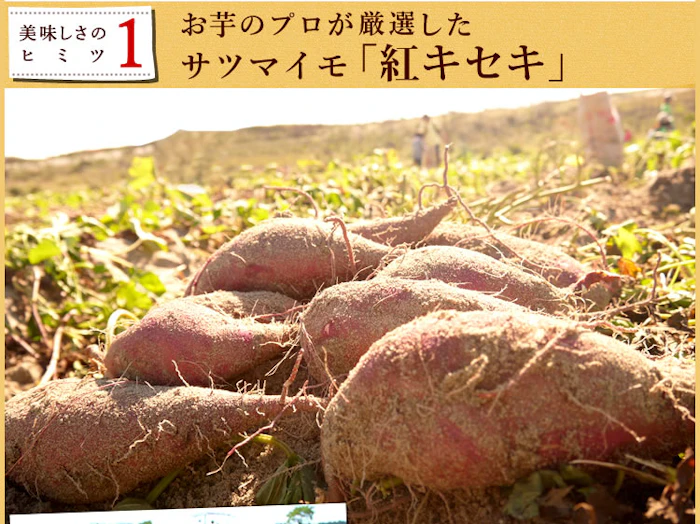 おいもや 二代目干し芋 200g 2枚目
