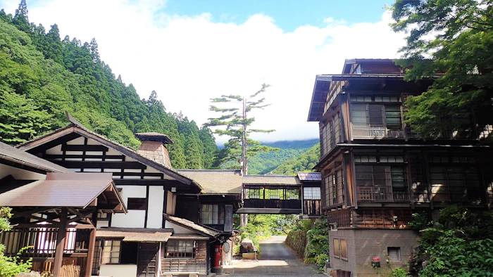 群馬県 法師温泉 長寿館 6枚目
