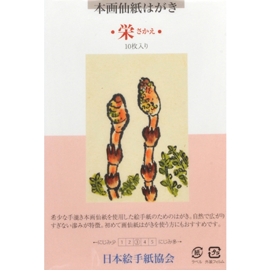 絵手紙株式会社 画仙紙はがき「栄」10枚入り 1枚目