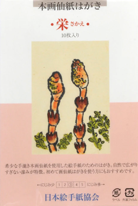 絵手紙株式会社 画仙紙はがき「栄」10枚入り 1枚目