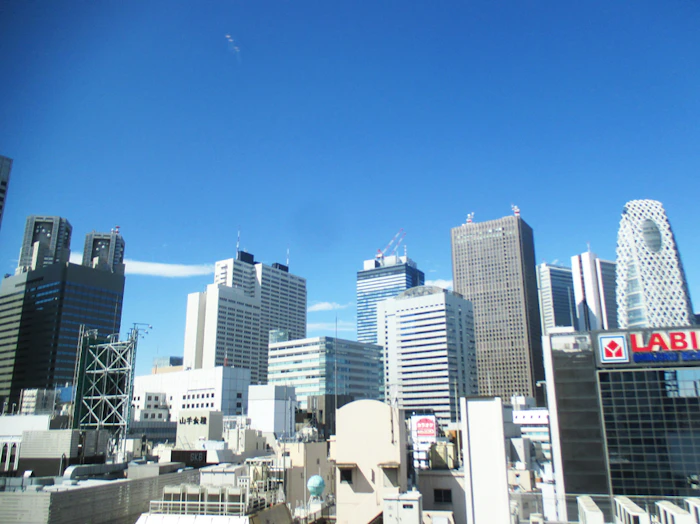 東京都/新宿駅南口から徒歩約3分 JR九州ホテル ブラッサム新宿 2枚目