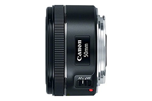 Canon EF50mm F1.8 STM 3枚目