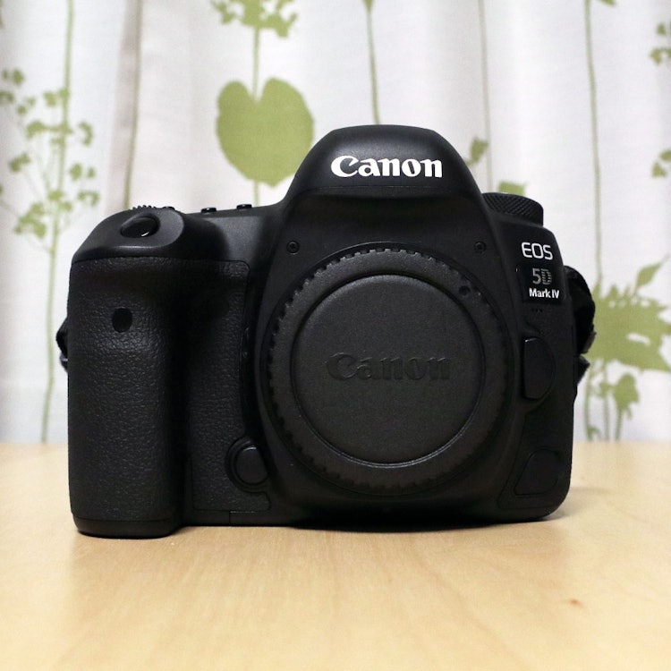 Canon EOS 5D MarkⅣ 1枚目