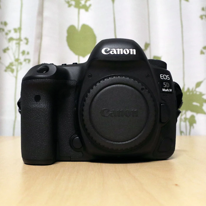 Canon EOS 5D MarkⅣ 1枚目