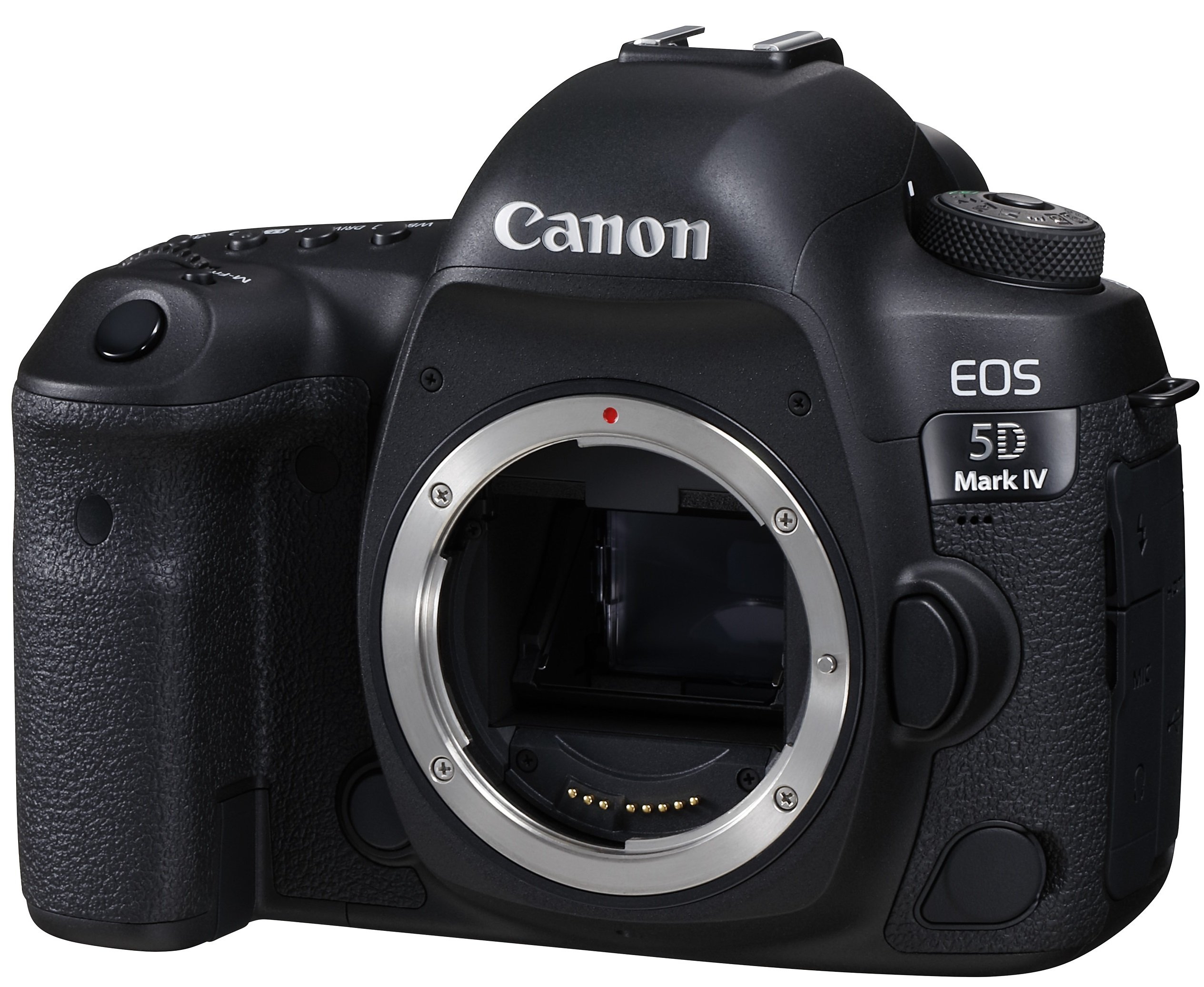 Canon EOS 5D MarkⅣ 2枚目