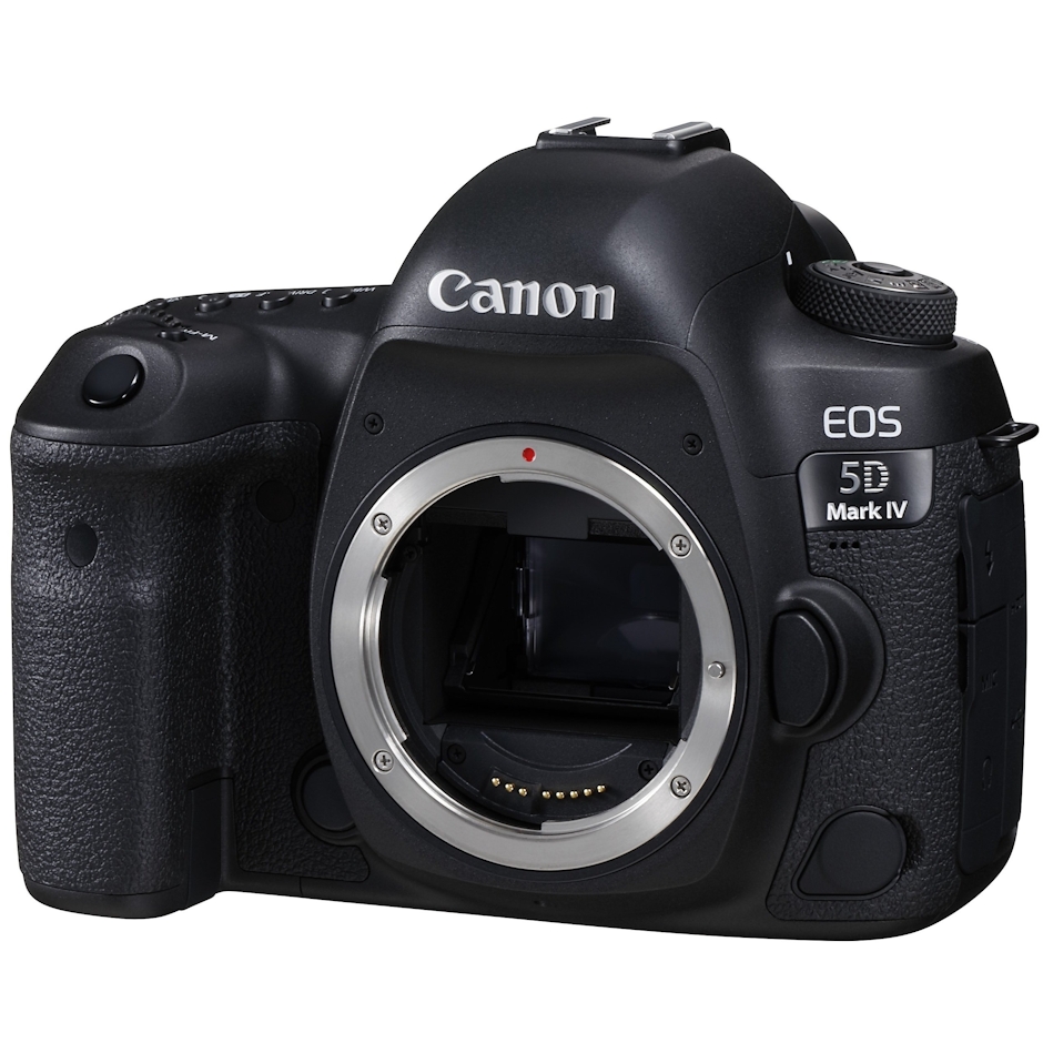 Canon EOS 5D MarkⅣ 2枚目