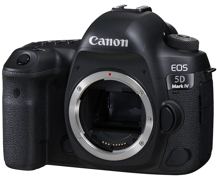 Canon EOS 5D MarkⅣ 2枚目