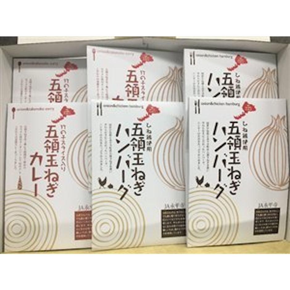 JA福井県経済連 五領 玉ねぎカレー ハンバーグセット 2枚目