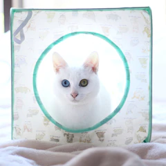 宝島社 ポンポンつき! キャットハウスBOOK 1枚目