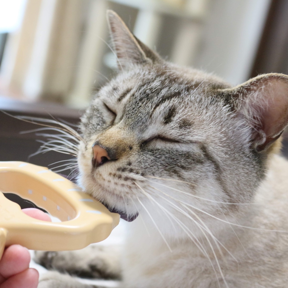 ディアトリベー(同) 犬猫用くし ピロコーム 1枚目
