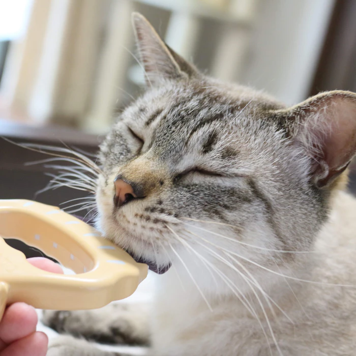ディアトリベー(同) 犬猫用くし ピロコーム 1枚目