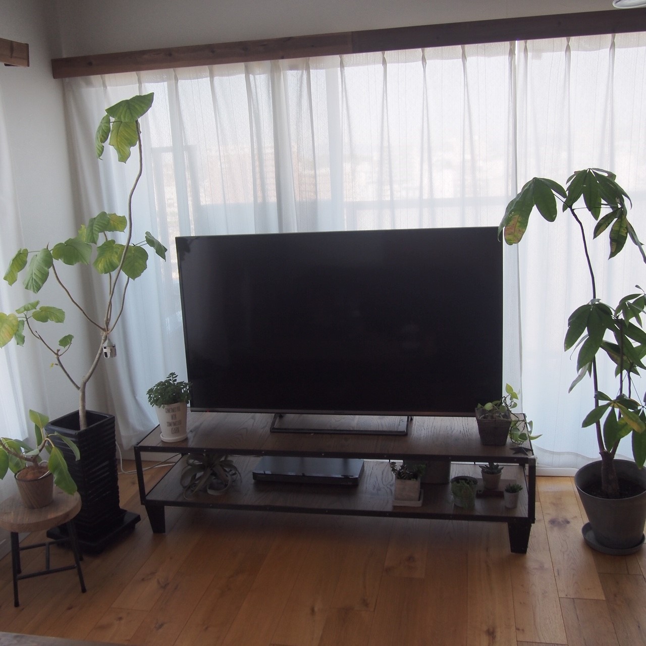 ミヤコ商事 CALVI TV BOARD LARGE 3枚目