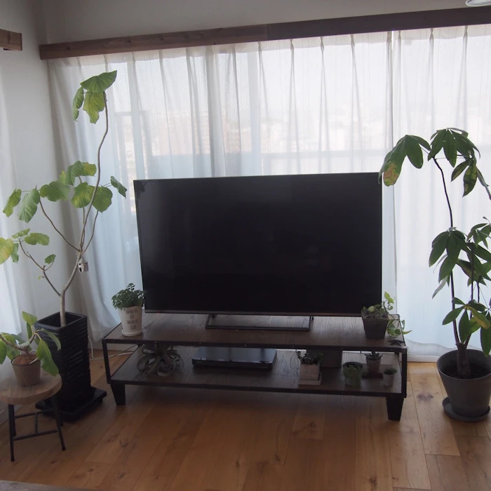 ミヤコ商事 CALVI TV BOARD LARGE 3枚目