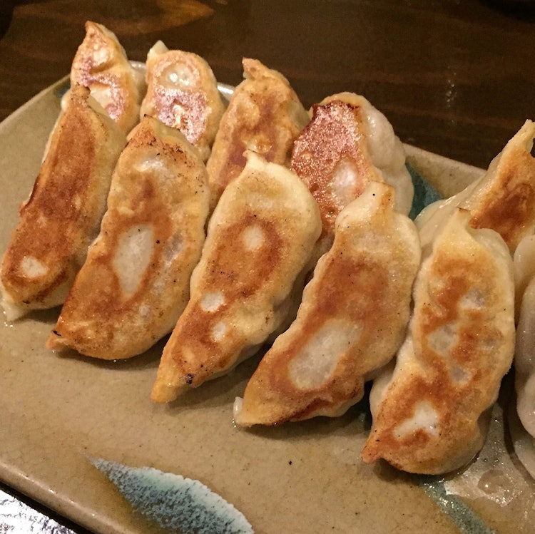 和の中 皮から手作り宇都宮餃子 1枚目