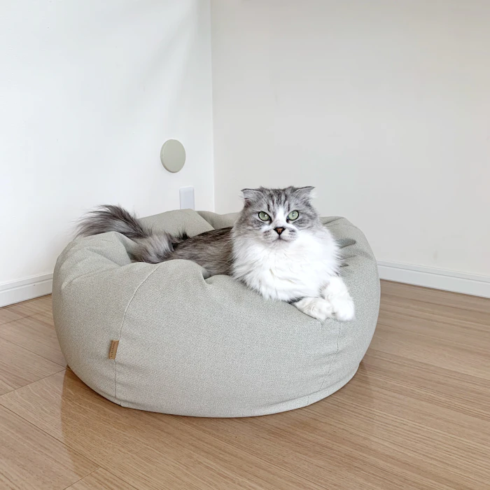 ハナロロ スタイリスオニオン ビーズクッション 1枚目