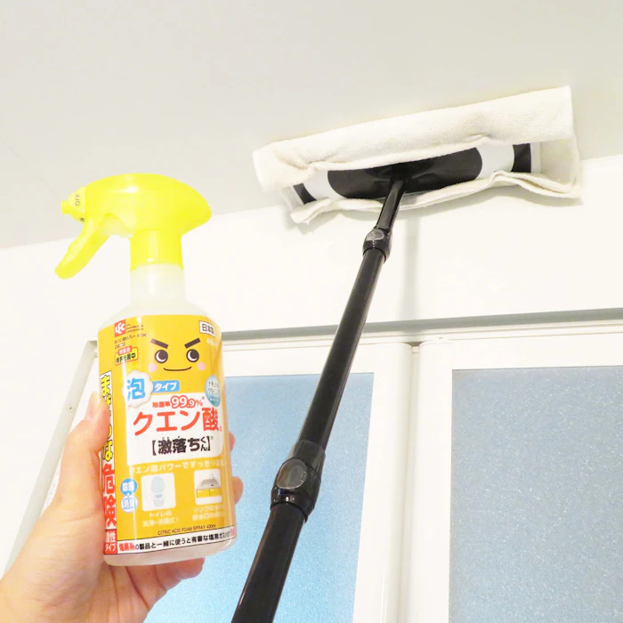 レック GNクエン酸 C00133 1枚目