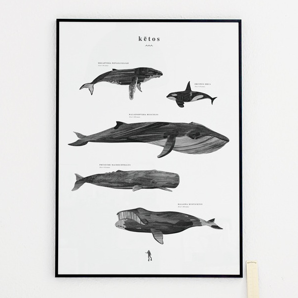 Coco Lapine Design Coco Lapine アートプリント 2枚目