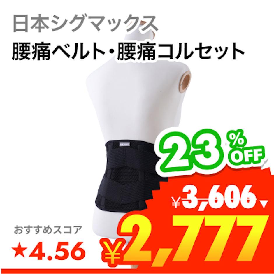 日本シグマックス しっかりガード 腰 スタンダード 1枚目