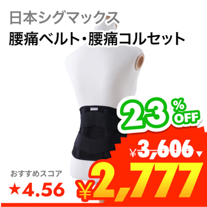 日本シグマックス しっかりガード 腰 スタンダード 1枚目